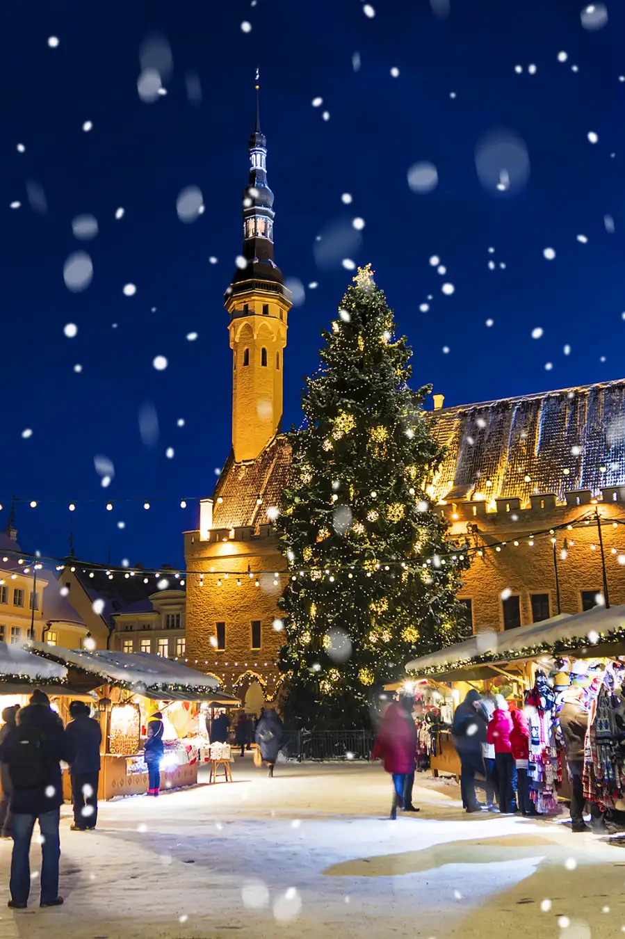 MIS - Winter Market Image